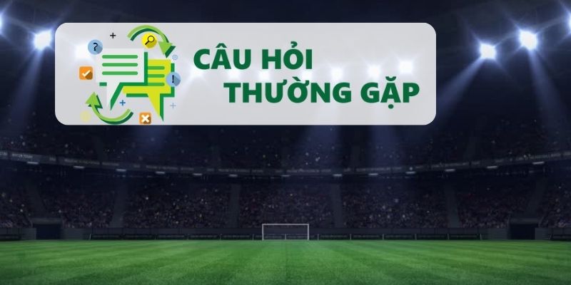 Giải đáp các dịch vụ 7mcn hiện đang cung cấp